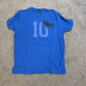 Abercrombie & Fitch Blue Graphic Tee